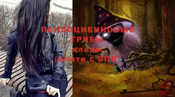 mdpv Армянск
