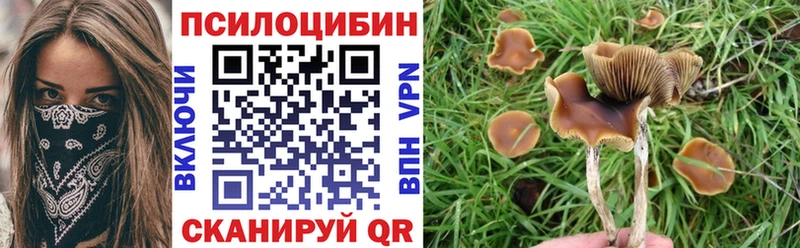 где купить наркоту Узловая Галлюциногенные грибы мухоморы