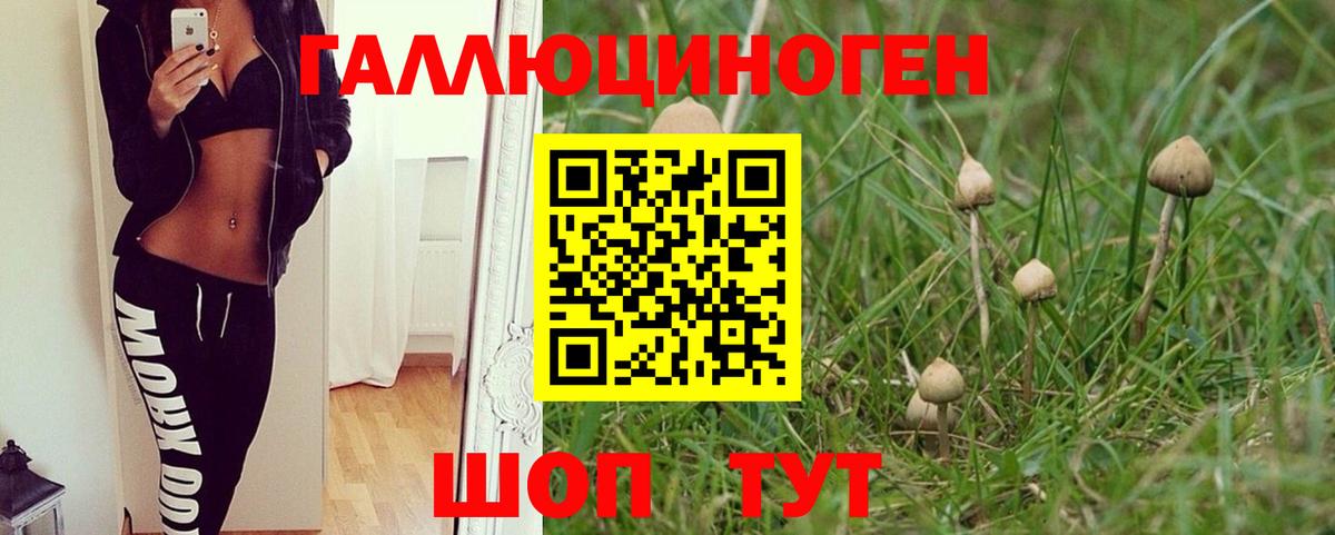 Псилоцибиновые грибы Psilocybine cubensis  Вход с VPN  где продают   Псилоцибиновые грибы GOLDEN TEACHER  Узловая 